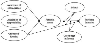 Exploring purchase intentions of new energy vehicles: Do “mianzi” and green peer influence matter?